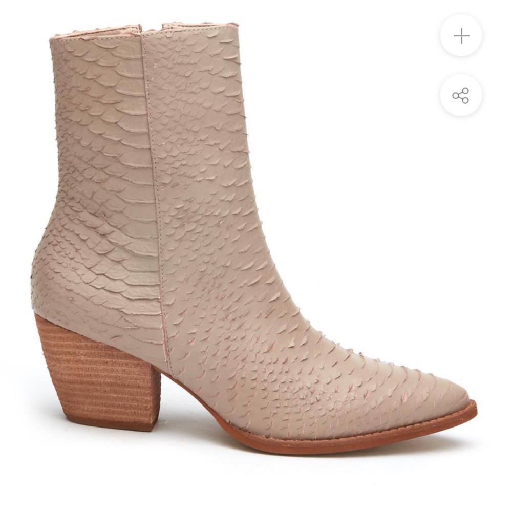 Caty ankle books